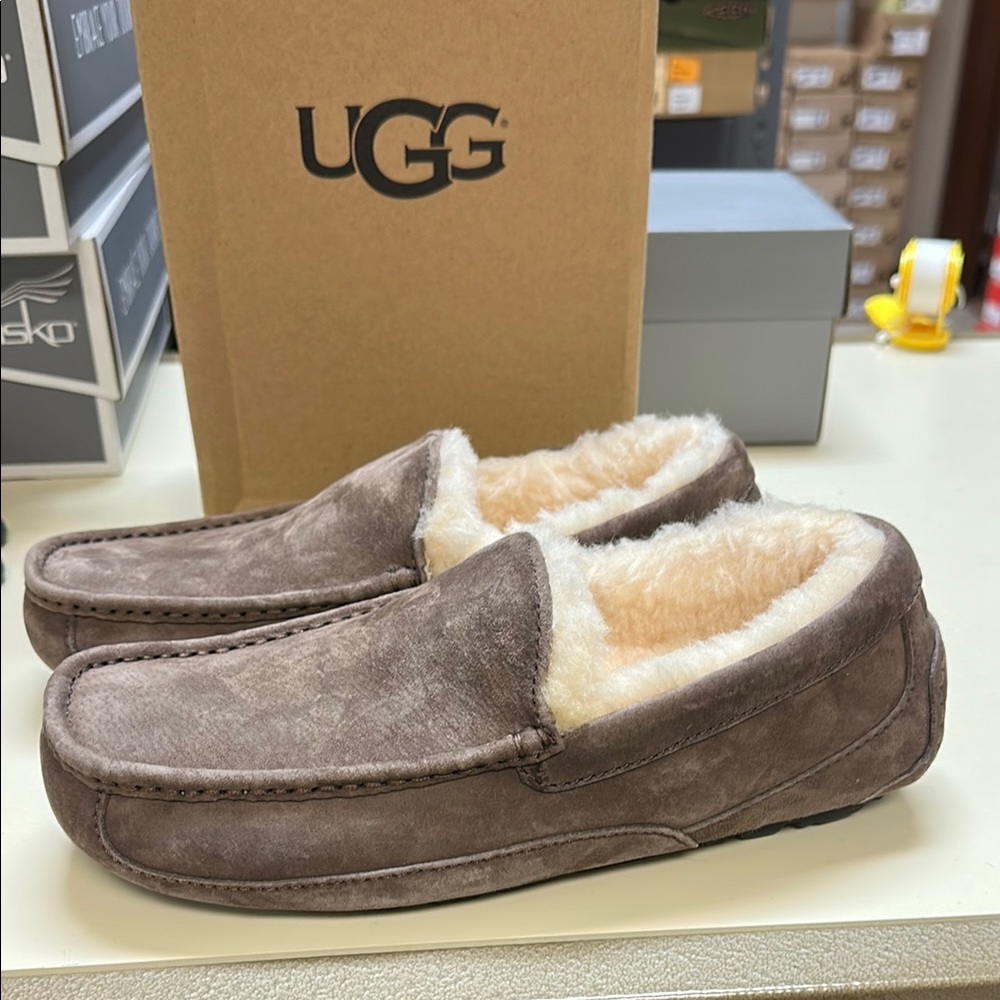 UGG Men's Ascot Espresso Suede Slippers